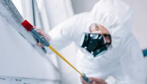 Best Commercial Pest Control  in USA